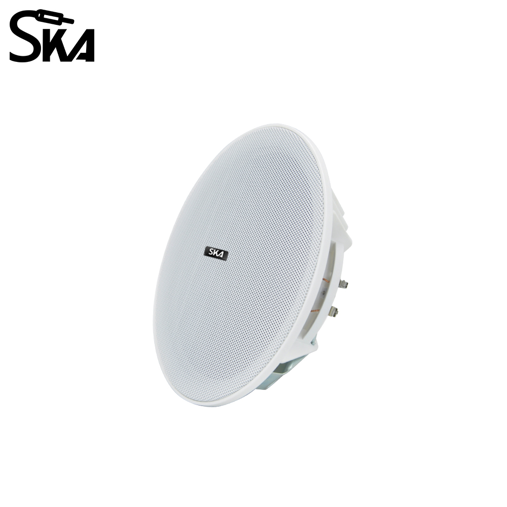 6.5インチ 20W、8Ωデュアルコーンスピーカー 92dB - Audio Music Store のレビューと価格