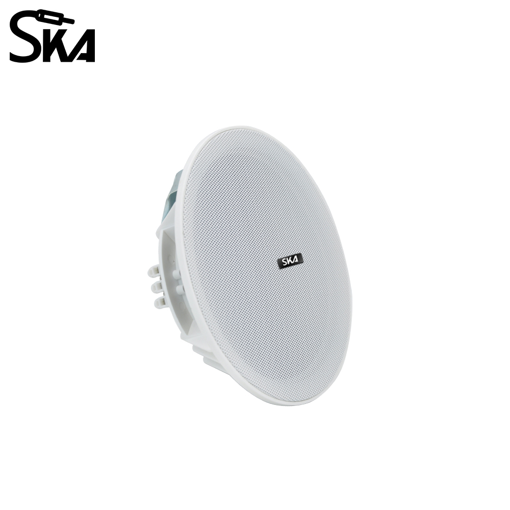 6.5インチ 20W、8Ωデュアルコーンスピーカー 92dB - Audio Music Store のレビューと価格