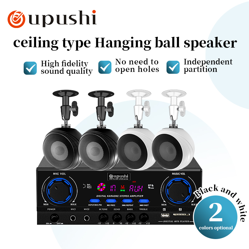Oupushi 天井取り付け壁取り付けオーディオ システム  - Audio Music In Background のレビューと価格