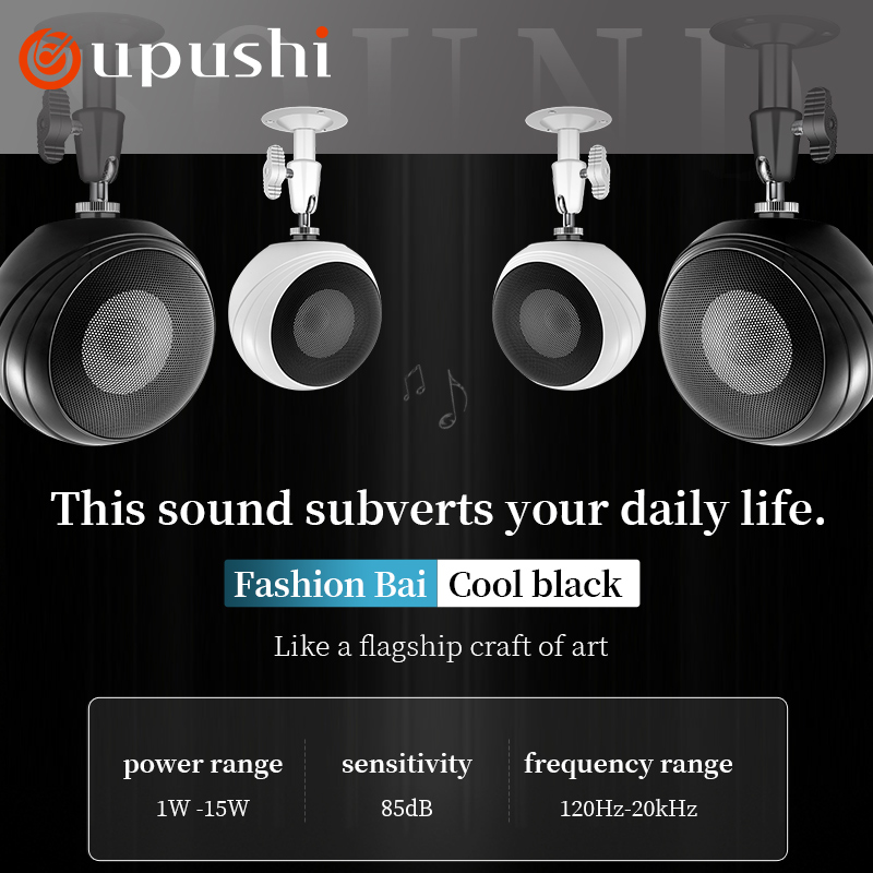 Oupushi 天井取り付け壁取り付けオーディオ システム  - Audio Music In Background のレビューと価格