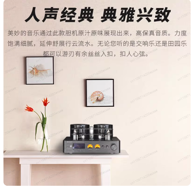 220V 400W * 2 ハイファイワイヤレス真空管パワー - Audio Youtube Music Free のレビューと価格